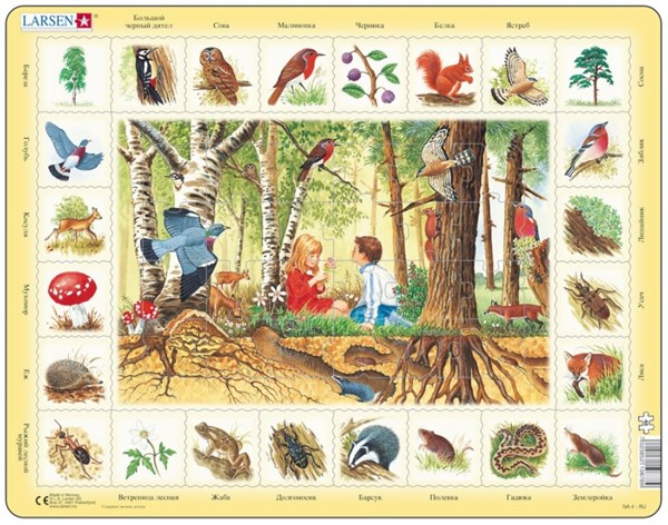 Larsen (NA4-RU) - "Die Tiere aus dem Wald (auf Russisch)" - 48 Teile Puzzle