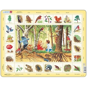 Larsen (NA4-RU) - "Die Tiere aus dem Wald (auf Russisch)" - 48 Teile Puzzle