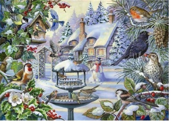 The House of Puzzles (2247) - "Winter Birds" - 500 Teile Puzzle