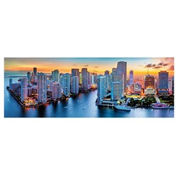 Trefl (29027) - "Miami bei Nacht" - 1000 Teile Puzzle