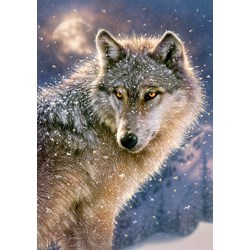 Castorland (B-52431) - "Einsamer Wolf im Schneetreiben" - 500 Teile Puzzle
