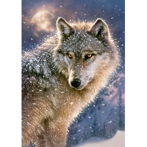 Castorland (B-52431) - "Einsamer Wolf im Schneetreiben" - 500 Teile Puzzle