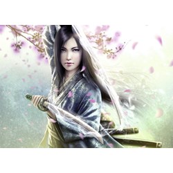 Ravensburger (19036) - "The Legend of the Five Rings" - 1000 Teile Puzzle