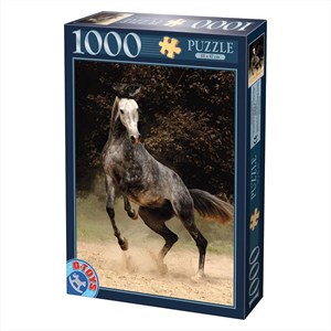 D-Toys (65988-PH02) - "Geflecktes Pferd" - 1000 Teile Puzzle