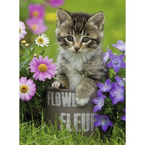 Ravensburger (10847) - "Kleines Kätzchen in den Blumen" - 100 Teile Puzzle