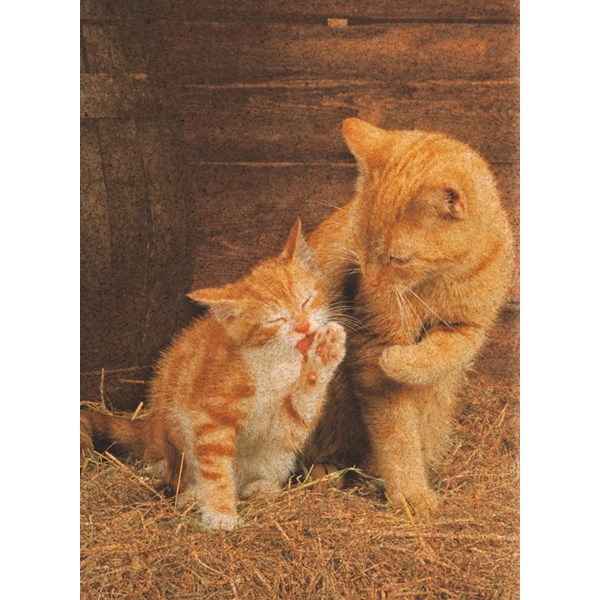 Clementoni (30205) - "Rote Katzen" - 500 Teile Puzzle