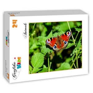Grafika Kids (01229) - "Schmetterling" - 24 Teile Puzzle