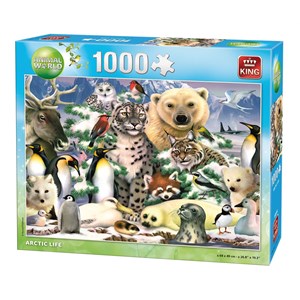 King International (05485) - "Artic Life" - 1000 Teile Puzzle