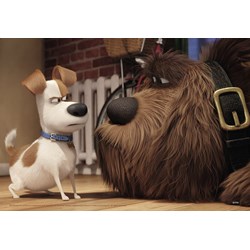 Ravensburger (09110) - "Pets - Sturmfrei" - 24 Teile Puzzle