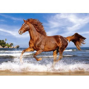 Castorland (B-52578) - "Pferd am Strand" - 500 Teile Puzzle
