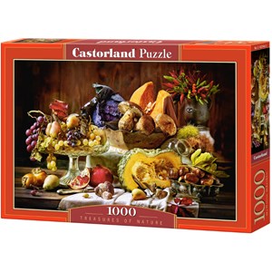 Castorland (C-103546) - "Schätze der Natur" - 1000 Teile Puzzle