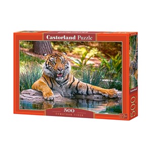Castorland (B-52745) - "Sumatra, Tiger" - 500 Teile Puzzle
