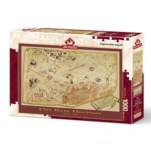 Art Puzzle (4308) - "The Piri Reis Map" - 1000 Teile Puzzle