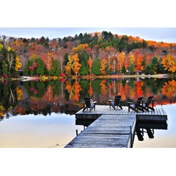 Grafika Kids (01199) - "Zen Augenblick" - 12 Teile Puzzle