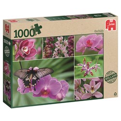Jumbo (18354) - "Orchideen" - 1000 Teile Puzzle