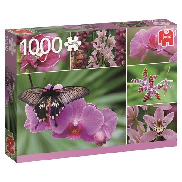 Jumbo (18354) - "Orchideen" - 1000 Teile Puzzle