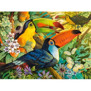 Castorland (C-300433) - David Galchutt: "Farbenfrohe Papageien" - 3000 Teile Puzzle