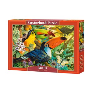 Castorland (C-300433) - David Galchutt: "Farbenfrohe Papageien" - 3000 Teile Puzzle