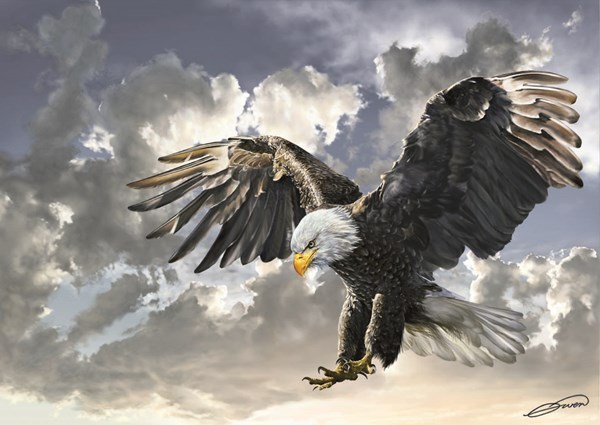 Art Puzzle (4167) - "Black and White" - 500 Teile Puzzle