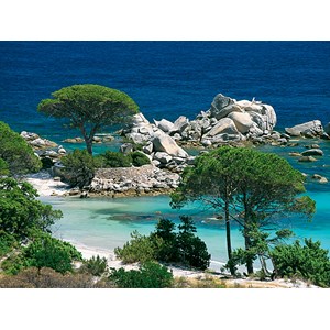Nathan (87459) - "Strand von Palombaggia, Korsika" - 1000 Teile Puzzle