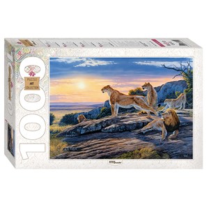 Step Puzzle (79111) - "Auszeit im Sonnenlicht" - 1000 Teile Puzzle