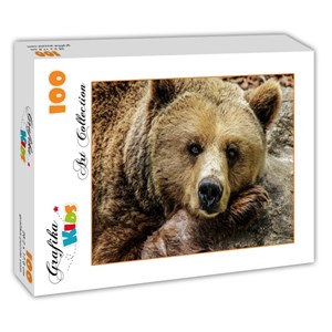 Grafika Kids (00799) - "Bear" - 100 Teile Puzzle