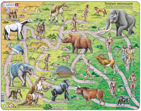 Larsen (HL3-RU) - "Der Weg vom Affen zum Menschen (auf Russisch)" - 83 Teile Puzzle
