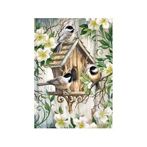 Art Puzzle (4350) - "Das Vogelhaus" - 1000 Teile Puzzle