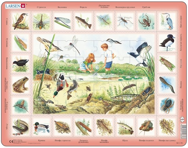 Larsen (NA3-RU) - "Der Teich (auf Russisch)" - 48 Teile Puzzle