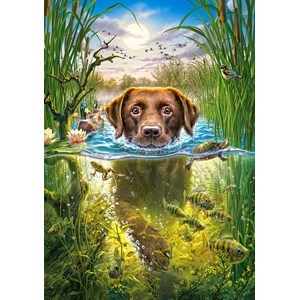 Castorland (B-52882) - "Hund lernt schwimmen" - 500 Teile Puzzle