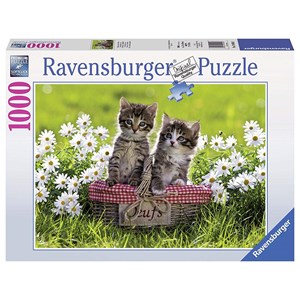 Ravensburger (19480) - "Picknick auf der Wiese" - 1000 Teile Puzzle