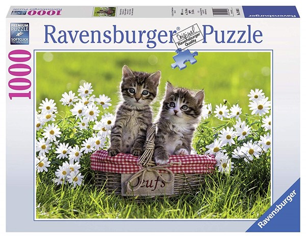 Ravensburger (19480) - "Picknick auf der Wiese" - 1000 Teile Puzzle