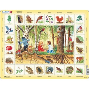 Larsen (NA4-GB) - "Im Wald (auf Englisch)" - 48 Teile Puzzle