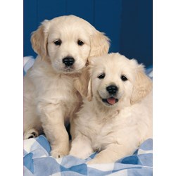 Ravensburger (14238) - "Knopfaugen" - 500 Teile Puzzle