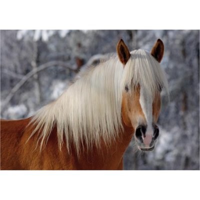 D-Toys (65933-HH01) - "Haflinger I" - 239 Teile Puzzle
