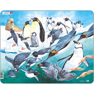 Larsen (FH7) - "Penguins" - 50 Teile Puzzle