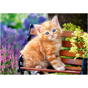 Castorland (B-52240) - "Niedliches Katzenkind auf der Bank" - 500 Teile Puzzle