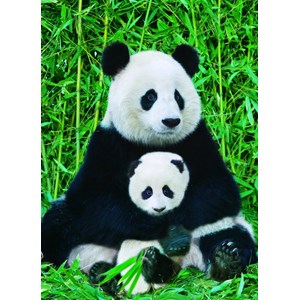 Eurographics (6000-0173) - "Panda-Familie" - 1000 Teile Puzzle