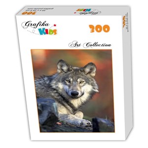 Grafika Kids (00515) - "Wolf" - 300 Teile Puzzle