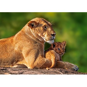 Castorland (B-018246) - "Pumamutter mit ihrem Baby" - 180 Teile Puzzle