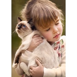 Castorland (B-52943) - "Mädchen kuschelt mit Katze" - 500 Teile Puzzle