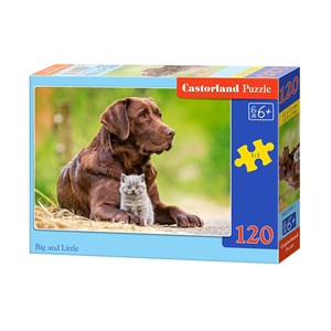 Castorland (B-13326) - "Labrador und kleines Kätzchen" - 120 Teile Puzzle