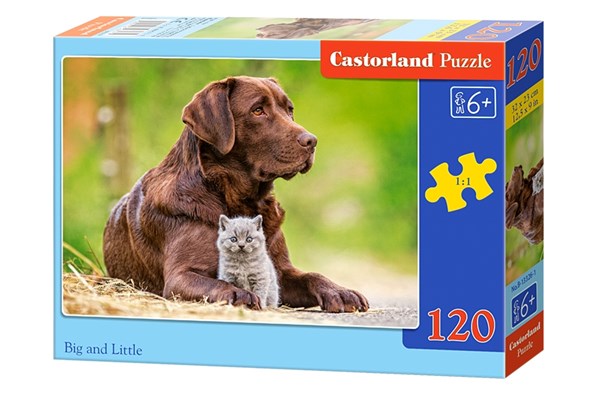 Castorland (B-13326) - "Labrador und kleines Kätzchen" - 120 Teile Puzzle