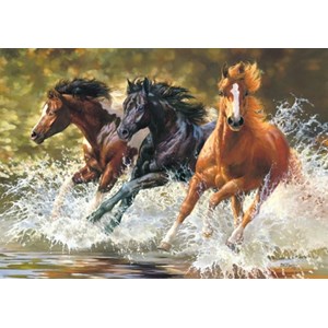 Castorland (B-52585) - "Splash" - 500 Teile Puzzle