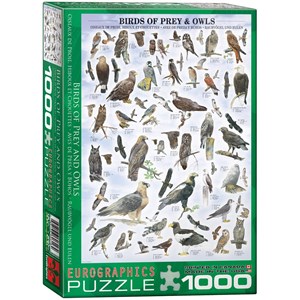 Eurographics (6000-0316) - "Raubvögel und Eulen" - 1000 Teile Puzzle