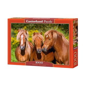Castorland (C-103959) - "Pferdefreundschaft" - 1000 Teile Puzzle