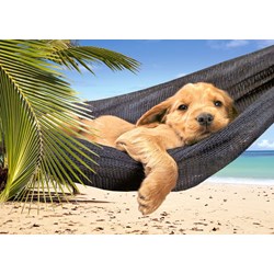 Castorland (B-52554) - "Leisure Time" - 500 Teile Puzzle