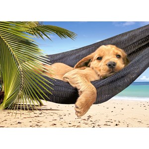 Castorland (B-52554) - "Leisure Time" - 500 Teile Puzzle