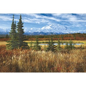Educa (16008) - Rodney Lough Jr.: "Denali National Park" - 1500 Teile Puzzle