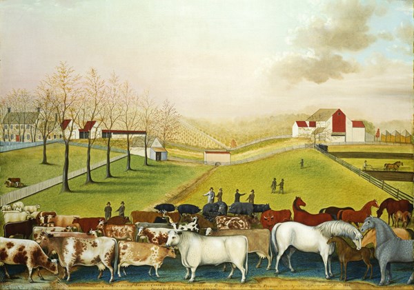 Grafika (00251) - Edward Hicks: "The Cornell Farm, 1848" - 1000 Teile Puzzle